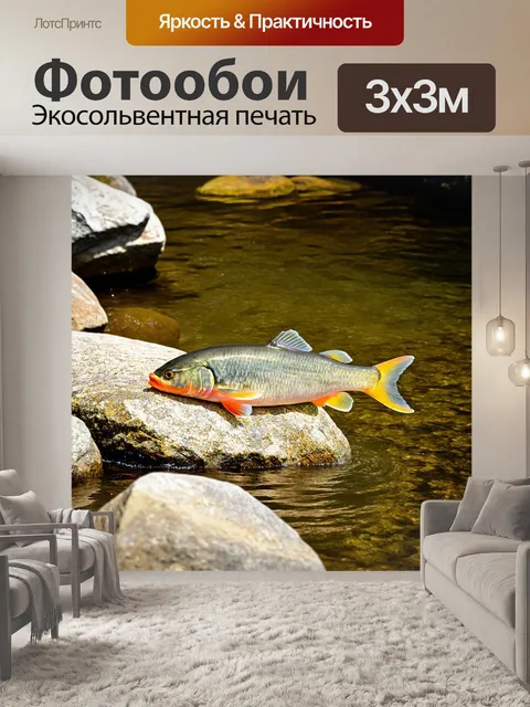 Фотообои рыбка, покоящаяся на камне в реке, с детализированными текстурами камней и мутной водой, через которую…