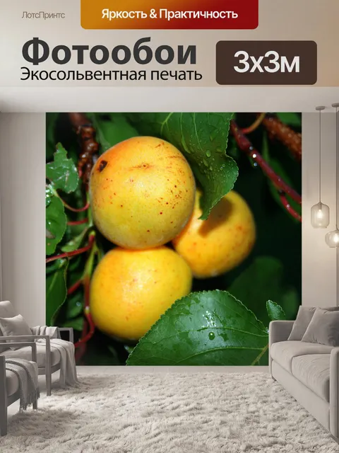 Фотообои пухлые влажные абрикосы