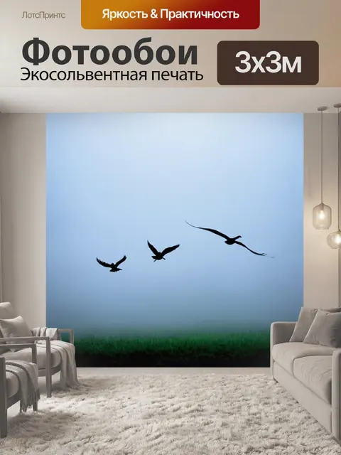 Фотообои туман в стиле комикс, где силуэты птиц летят через туман