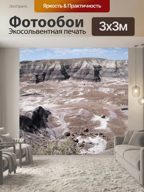 Фотообои Окаменевший лес национальный парк