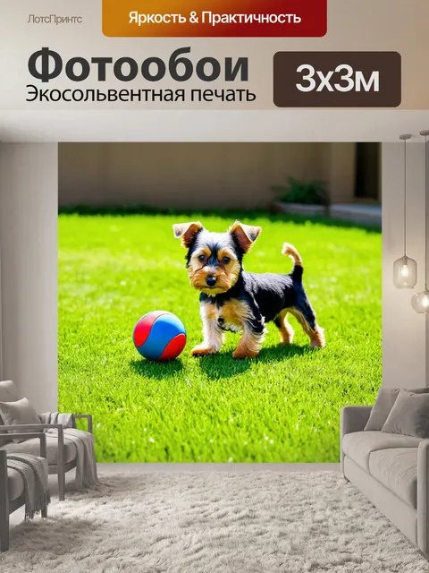 Фотообои собака маленький терьер, играющая с мячом на зеленом газоне, в солнечный день