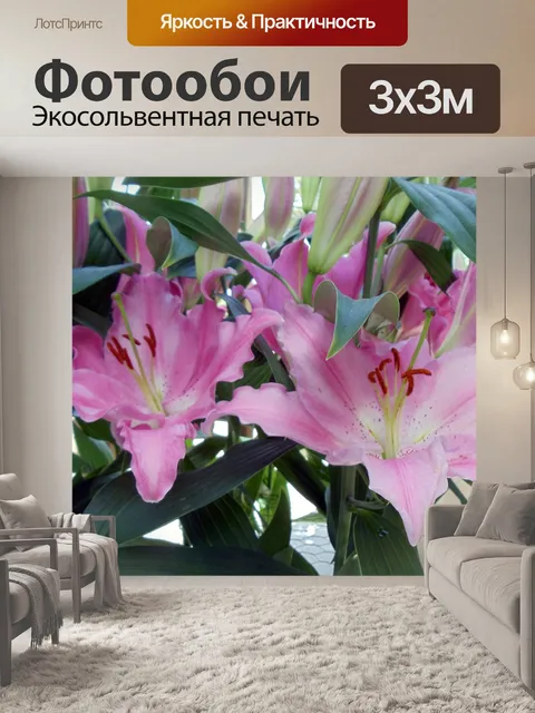Фотообои светло-розовые лилии