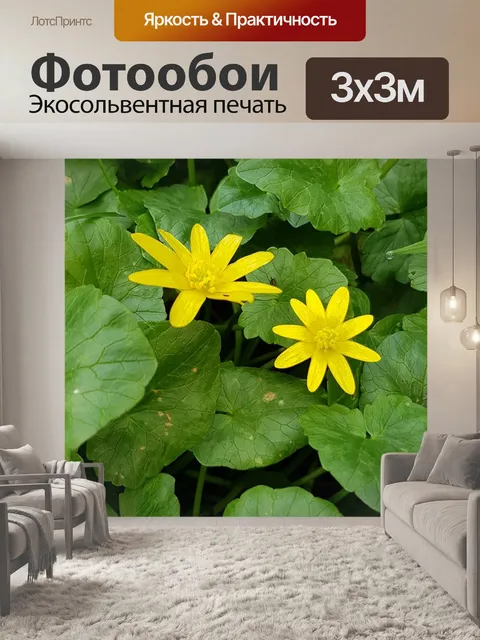 Фотообои Цветы