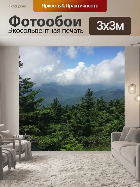 Фотообои Северная каролина блэк маунтинс
