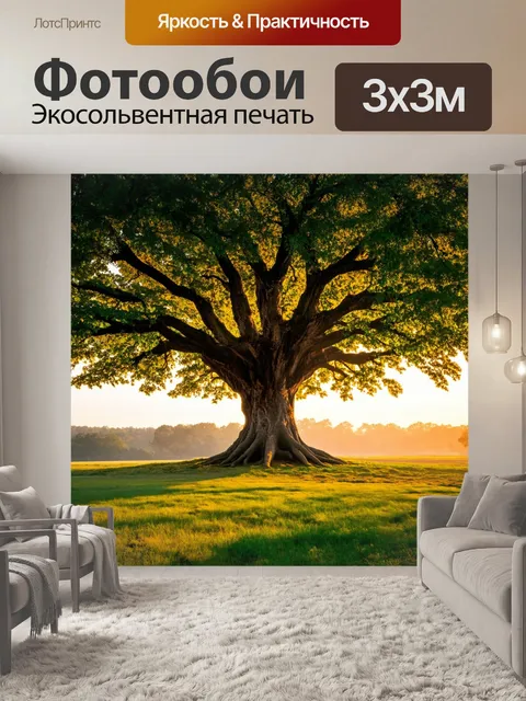 Фотообои гигантское дерево с листвой, создающей визуальные эффекты через тени, на фоне живописного раннего утра