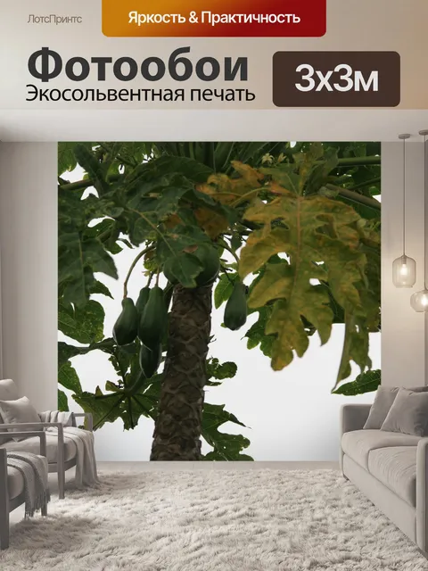 Фотообои Папайя на Pawpaw дерева