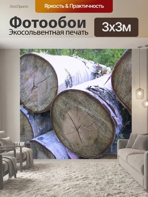 Фотообои Береза
