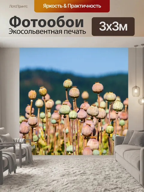 Фотообои Маковые капсулы