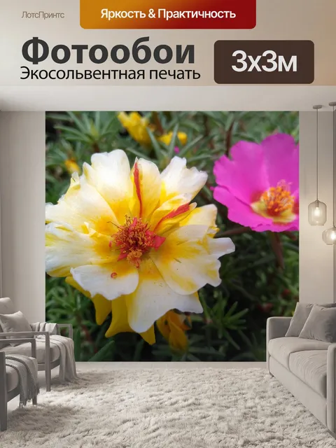 Фотообои Портулак oleracea л