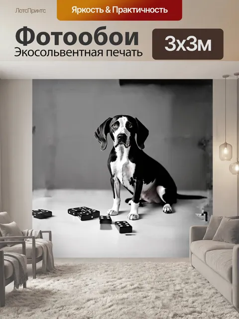 Фотообои минималистичное черно-белое фотографическое изображение английского пойнтера