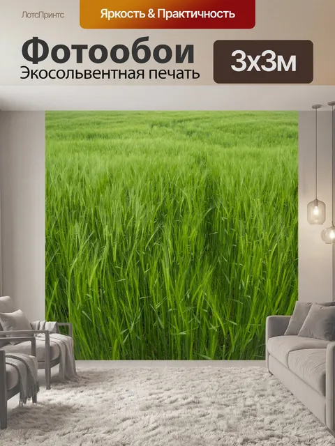 Фотообои Поле зеленого ячменя