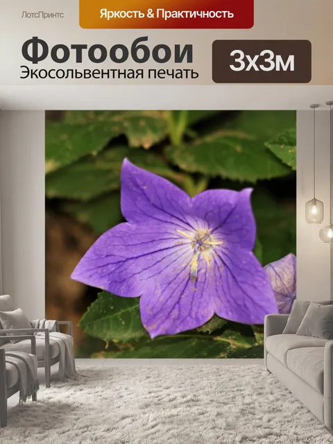 Фотообои Фиолетовый воздушный шар цветок и бутон