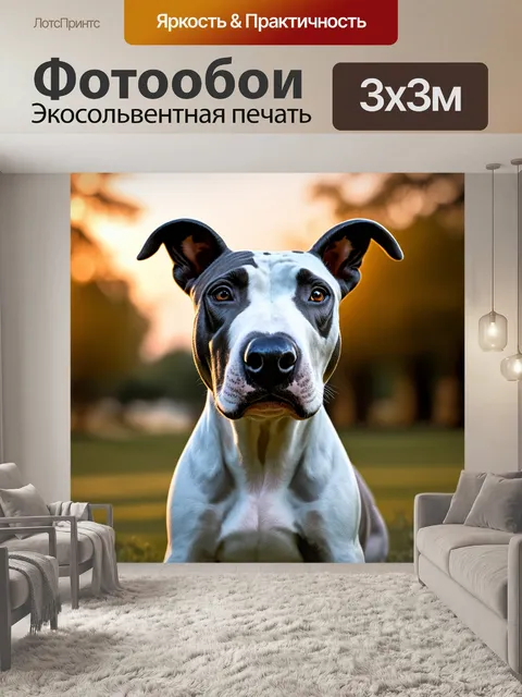 Фотообои изображение бультерьера, который внимательно смотрит на мир вокруг с выражением любопытства