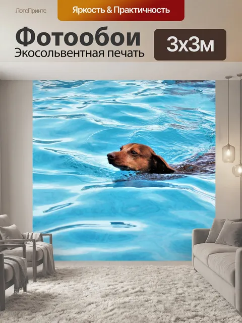 Фотообои Собака в воде