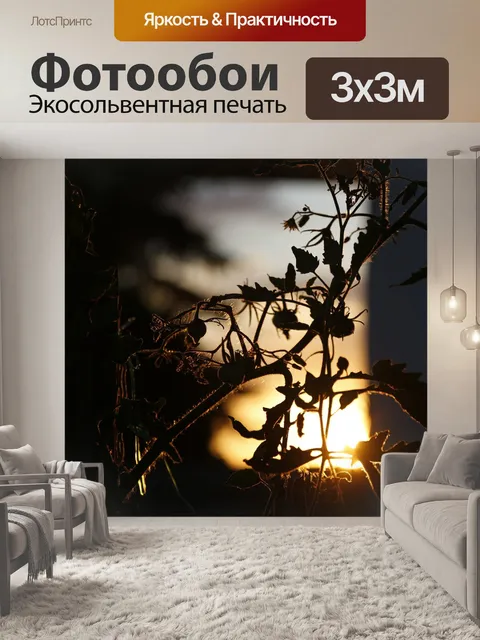 Фотообои Заход солнца