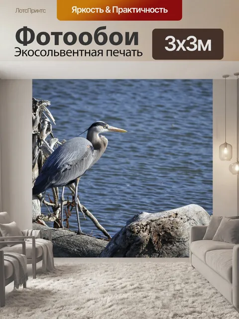 Фотообои Большая голубая цапля