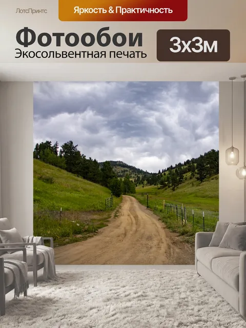 Фотообои Грязная дорога