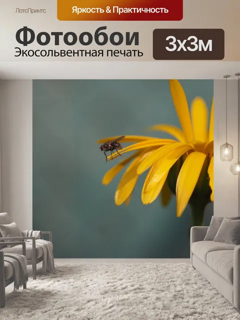 Фотообои Летать
