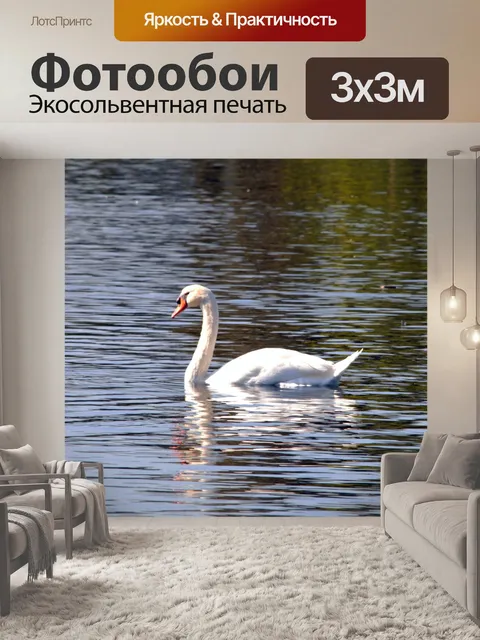Фотообои Одноместный Плавание Лебедь