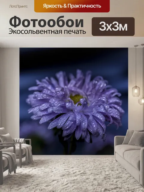 Фотообои Цветок в тени