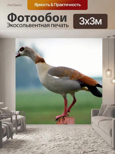 Фотообои Нил гуся