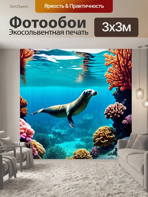 Фотообои подводный кадр тюленя, плывущего среди коралловых рифов с яркими тропическими рыбами вокруг