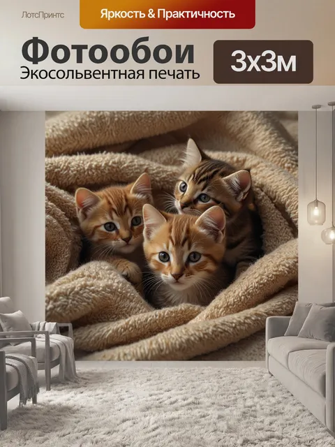 Фотообои котята в одеяле, kittens in blanket, пушистые котята, милые кошки, уютные
