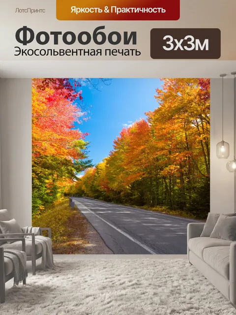 Фотообои Лесная дорога осенью