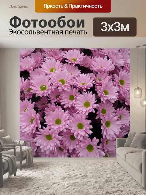 Фотообои Розовые ромашки