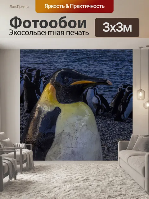 Фотообои пингвин