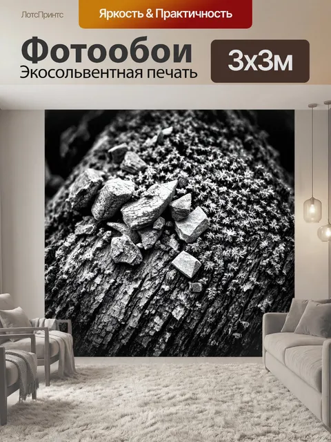 Фотообои черно-белый, где представлены фрагменты природы — камни, мох, и кора деревьев, выполненные в технике…