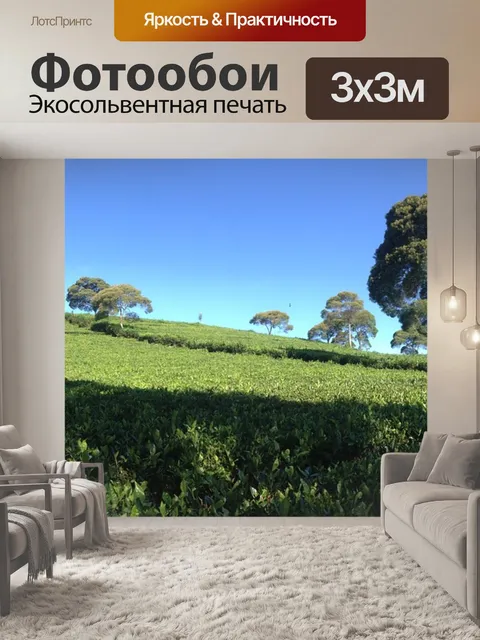 Фотообои Чайный сад