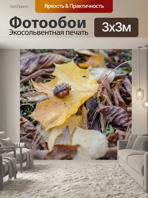 Фотообои Осень