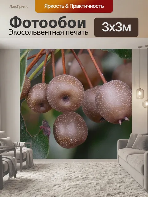 Фотообои Орнаментальный