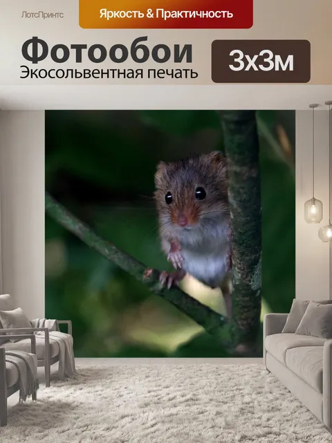 Фотообои Урожай мышь