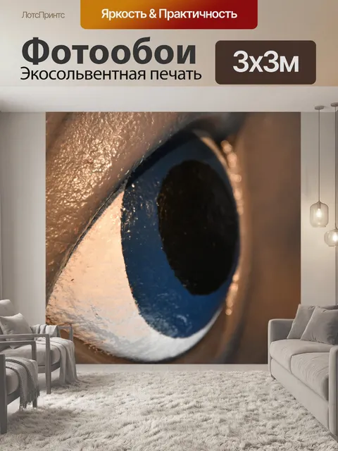 Фотообои Большой Глаз
