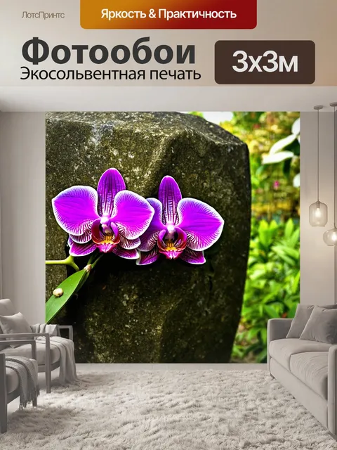 Фотообои орхидея, обвивающаяся вокруг старого камня в саду, ассоциирующаяся с природной красотой