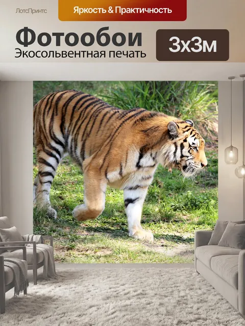 Фотообои Тигр