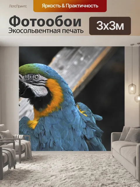 Фотообои Ара