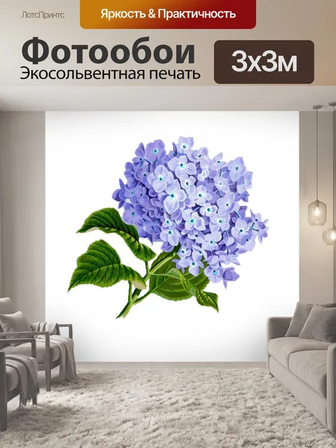 Фотообои Гортензия цвести винтаж старый