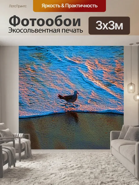 Фотообои Береговая птица