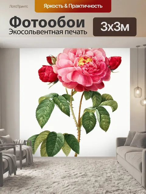 Фотообои Нарисованный цветок розы