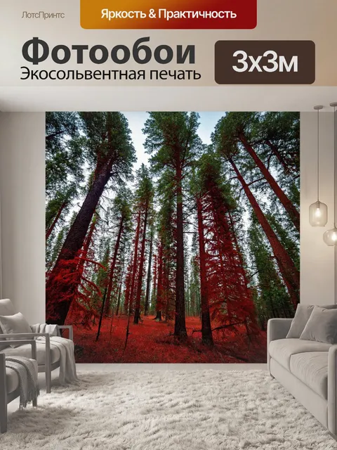 Фотообои лес с высокими красными соснами, создающими атмосферу безопасности и покоя