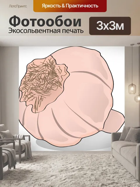 Фотообои Чеснок