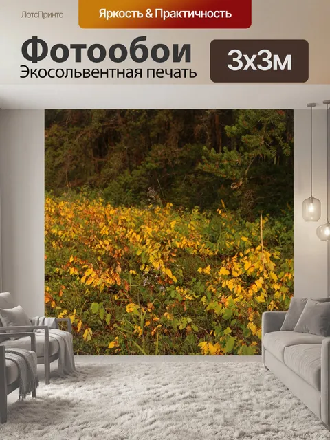 Фотообои Осень желтые листья Деревья