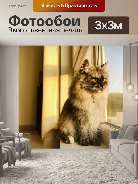 Фотообои Кошка