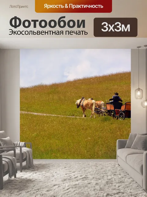 Фотообои Лошадь