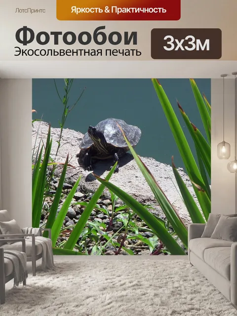 Фотообои Черепаха расположено озеро
