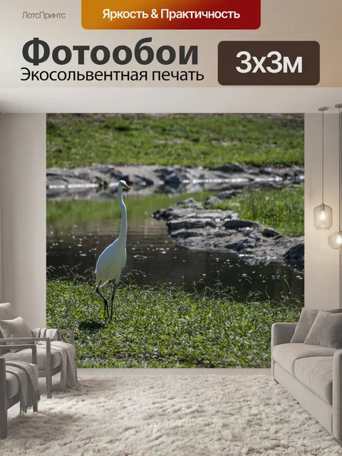 Фотообои Большая белая цапля