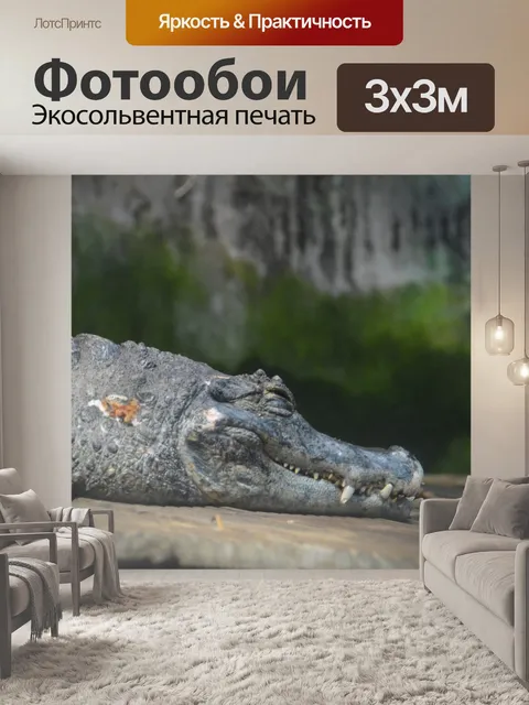 Фотообои Окружающая среда
